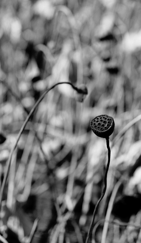 IMG_20231109_221504
