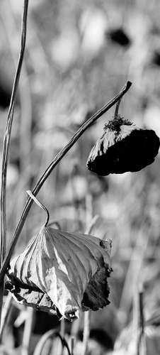 IMG_20231109_221524