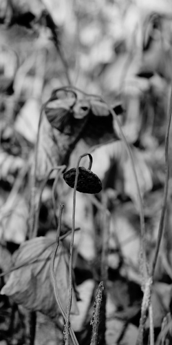 IMG_20231109_221540