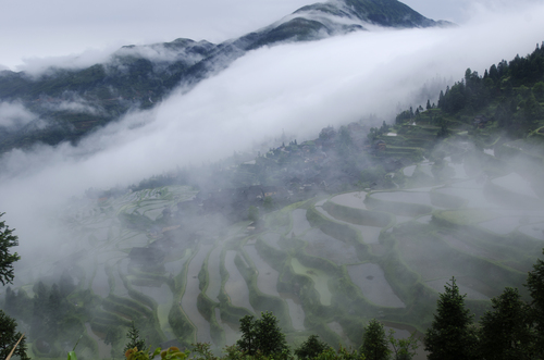 朝雾云间 朝雾云间