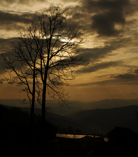 满目青山夕照明 满目青山夕照明