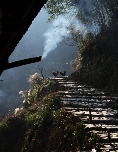 南山人家 南山人家