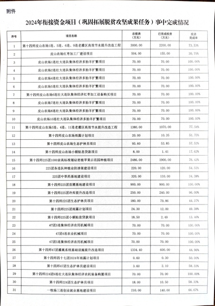 2024年衔接资金项目事中完成情况