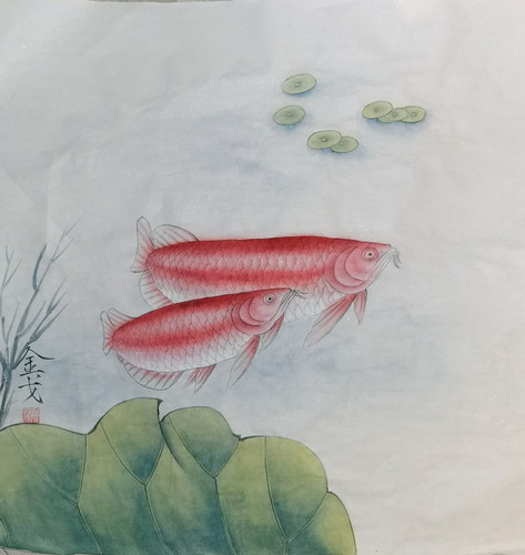 龙鱼图 龙鱼图