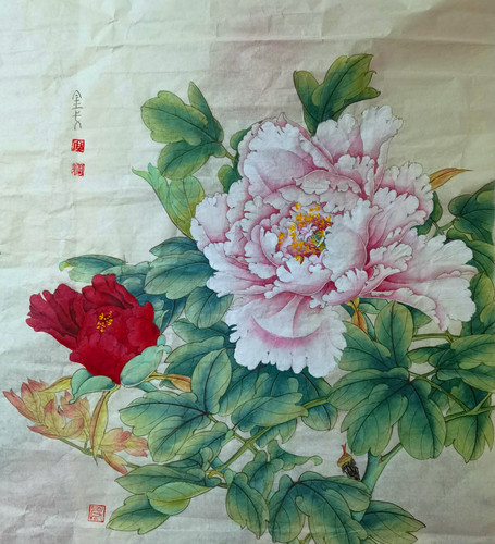 牡丹1 牡丹1