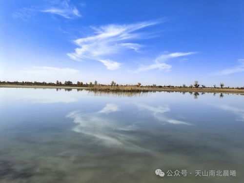 微信图片_20241114110644