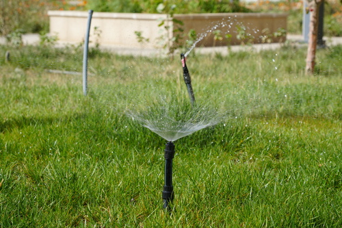 DSC07056