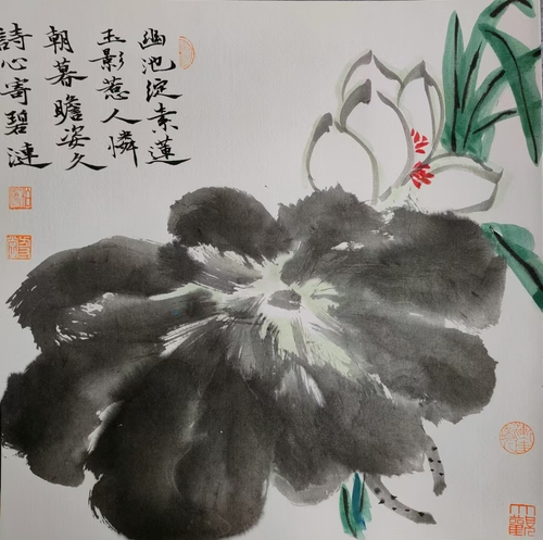 微信图片_20250106112222