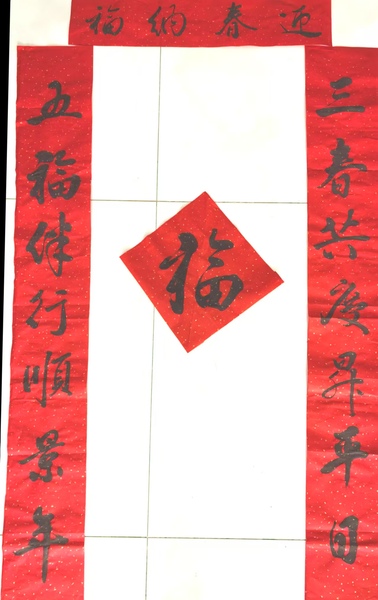 6白建飞