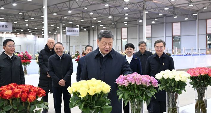 习近平在云南丽江市考察调研