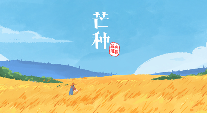 芒种：愿你“芒”有所获，“种”有所得