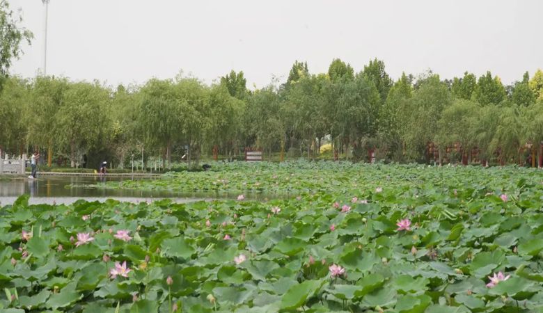 仲夏的昆玉景观河