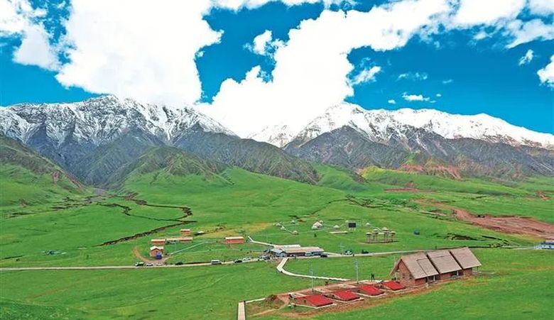 草原之旅：坐看兵团牧场绿浪翻涌