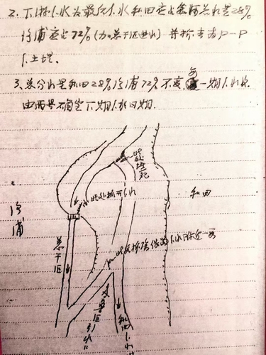 微信图片_2025-07-04_164248_642