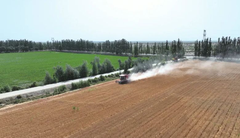 上级媒体看昆玉 | 二二五团观察：探索28%增速的密码