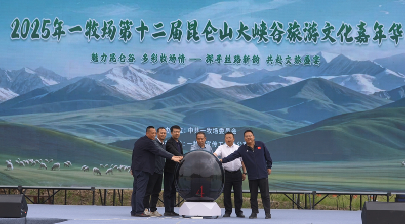 图片8