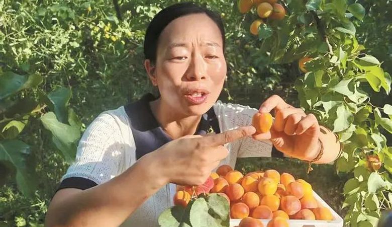 上级媒体看昆玉 | 张银银：一颗红枣里的振兴梦