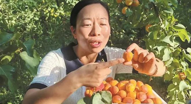 上级媒体看昆玉 | 张银银：一颗红枣里的振兴梦