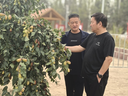 微信图片_20250908113109_140_360