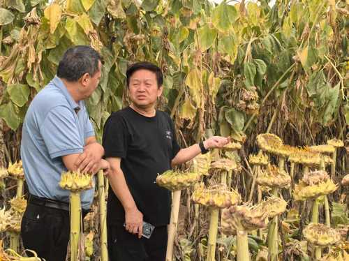 微信图片_20250908113128_142_360