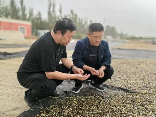 微信图片_20250908113121_141_360