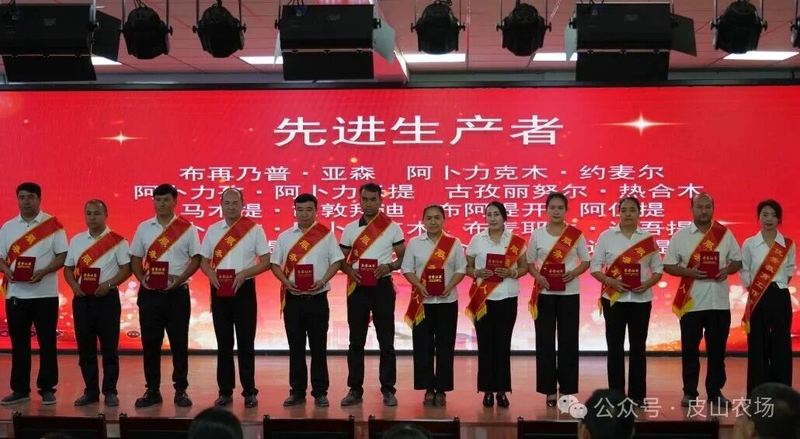 图片4