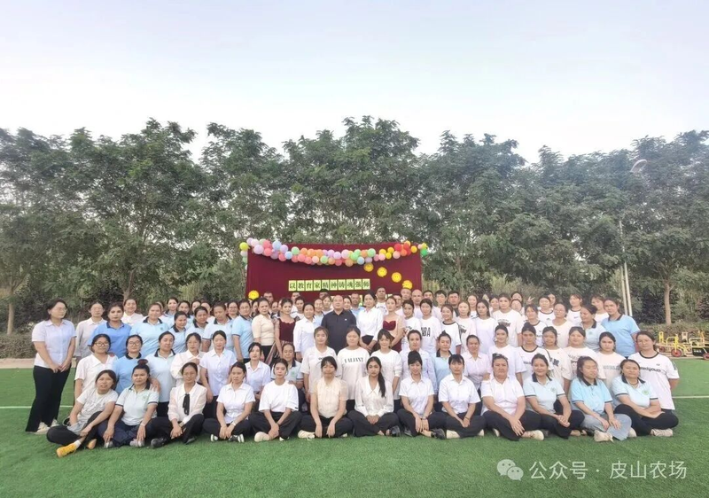 图片5