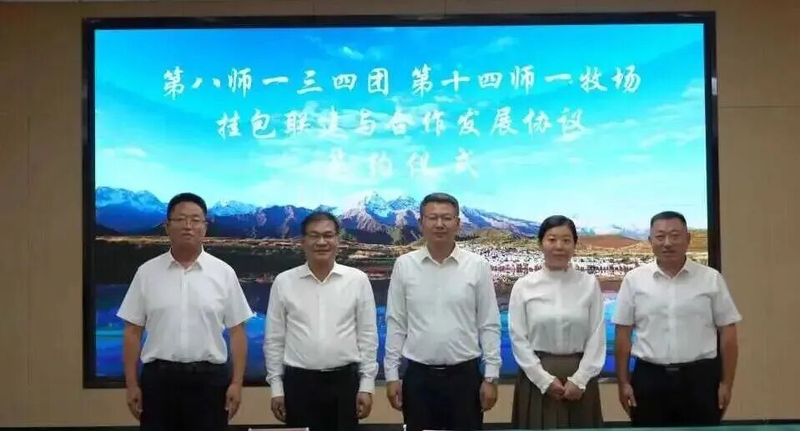 图片5