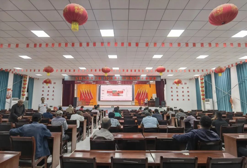 图片4