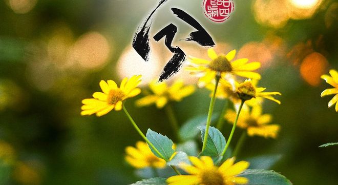 今日，秋分
