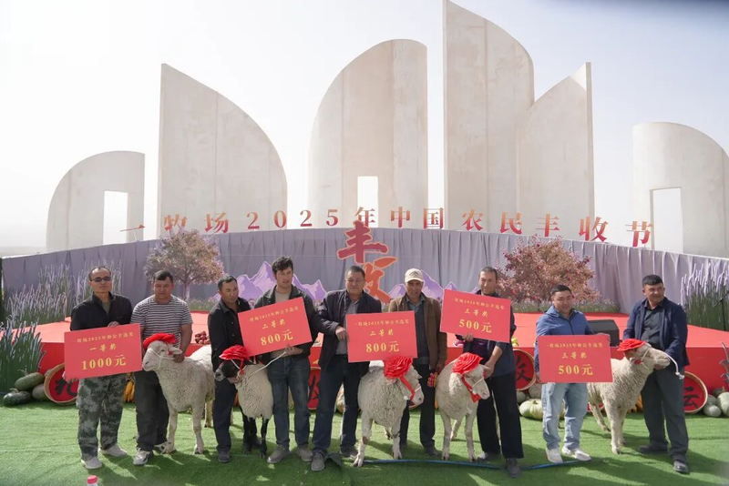 图片5