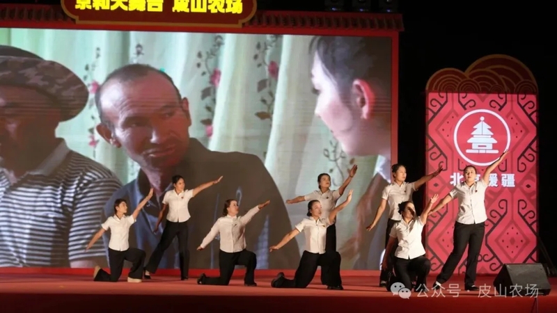 1010101010.webp