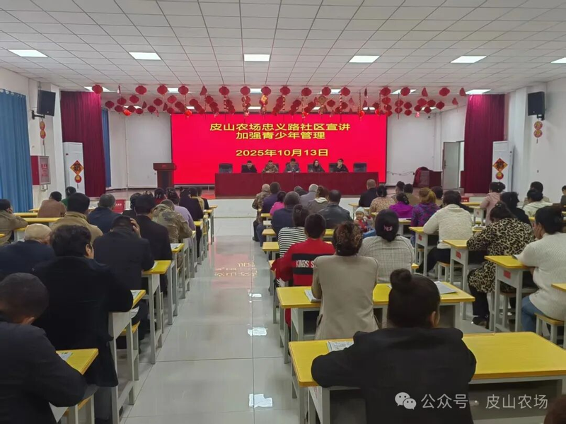 图片8