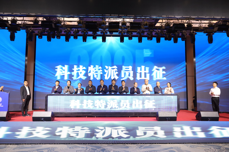 图片12