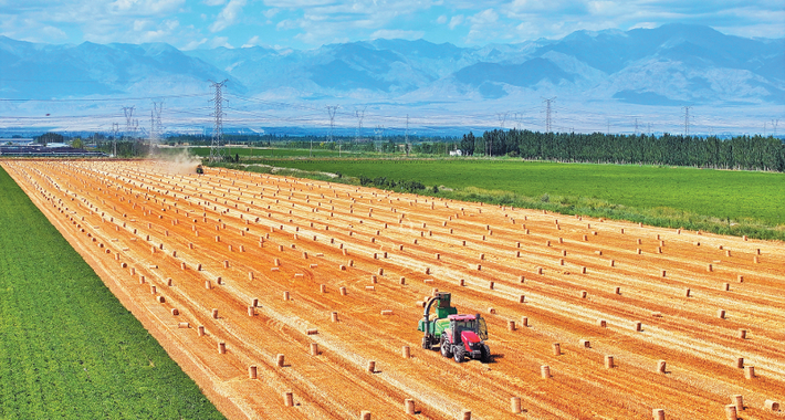 “稳”的底盘如何筑牢？