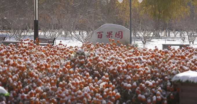 牧场初雪来临