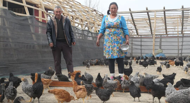 昆玉榜样 | 买赛地·吐送:拉依苏村的温暖守护者