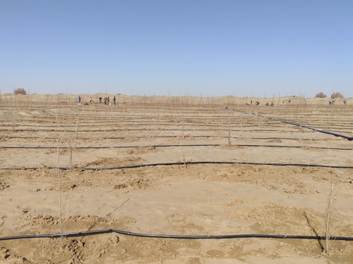 微信图片_20251106214123_419_472