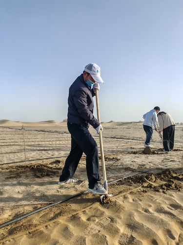 微信图片_20251106214128_421_472