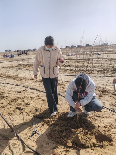 微信图片_20251106214039_416_472