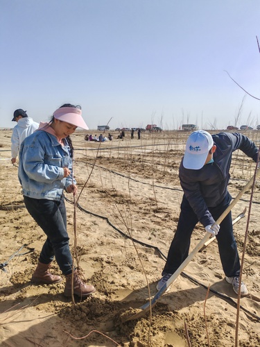 微信图片_20251106214036_415_472