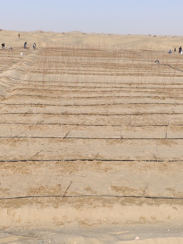 微信图片_20251106214124_420_472