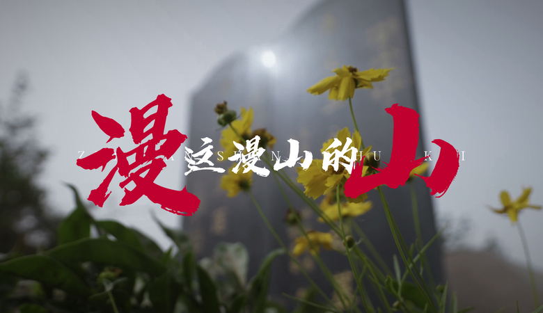 他们没等到这漫山的花开，却用身躯铸成了这山河的龙脉