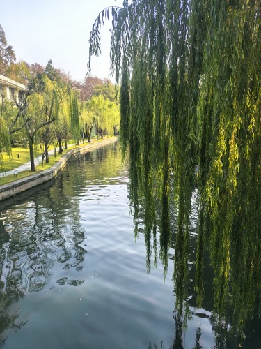 微信图片_20251212112103_320_360