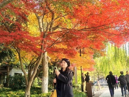 微信图片_20251212112056_319_360