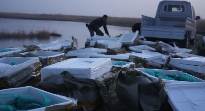 昆仑雪水滋养生态珍品 江浙虾蟹扎根二二五团拉依苏