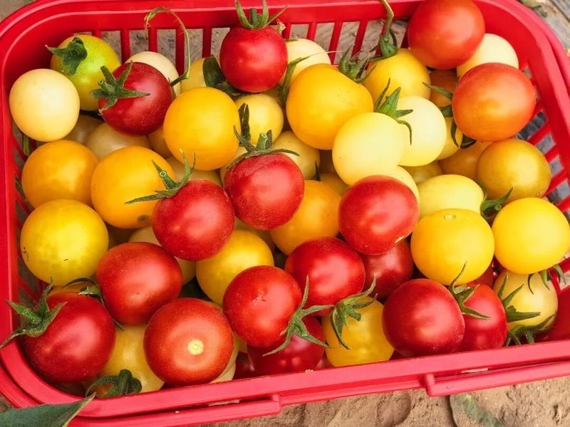 1616166166166 1616166166166