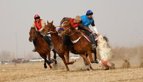 微信图片_20251215103344_319_4