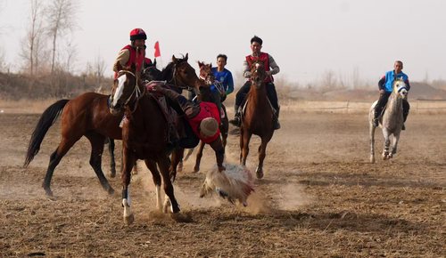 微信图片_20251215103357_322_4