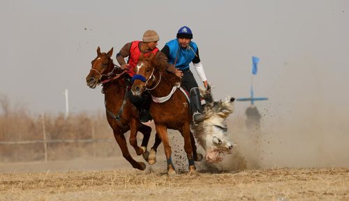 微信图片_20251215103415_325_4